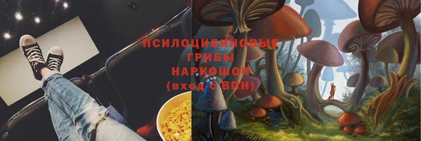 кристаллы Бикин