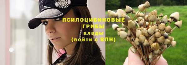 марки nbome Михайловка