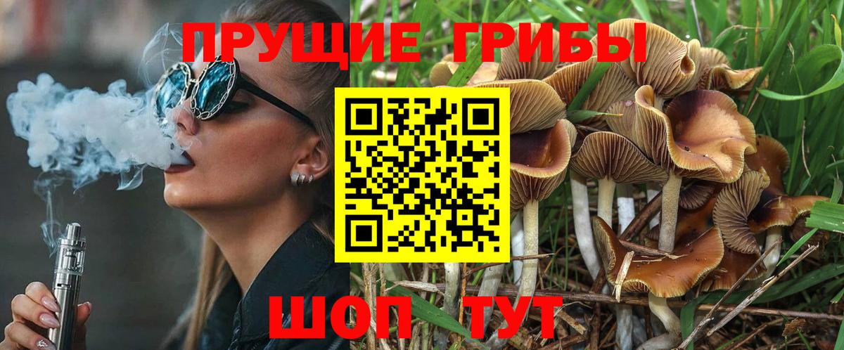 Псилоцибиновые грибы Cubensis  Кропоткин  купить наркотики сайты  Галлюциногенные грибы мухоморы 