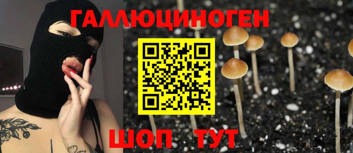 Псилоцибиновые грибы GOLDEN TEACHER Кропоткин